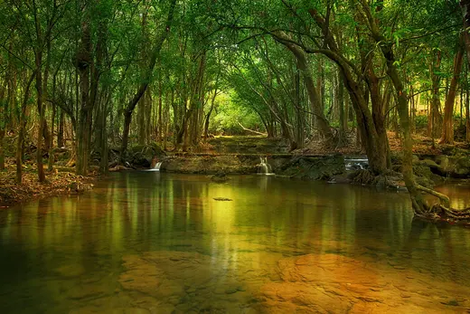 อุทยานแห่งชาติน้ำตกสี่ขีด